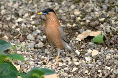 DSC_2320.jpg