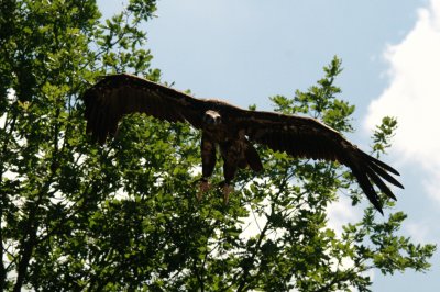 DSC_3197.jpg
