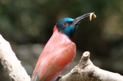 DSC_3262.jpg