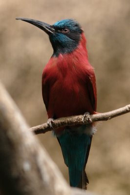 DSC_3283.jpg