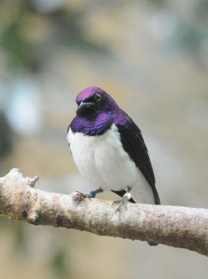 DSC_3791.JPG