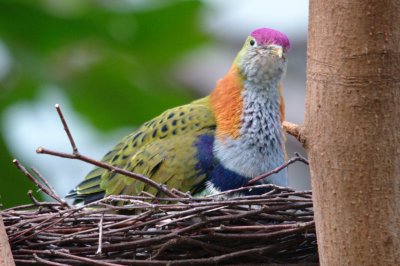 DSC_3829.jpg