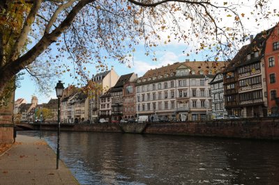 DSC_8778.JPG
