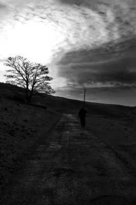 Onwards and Upwards