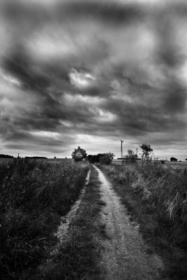 Into the Distance