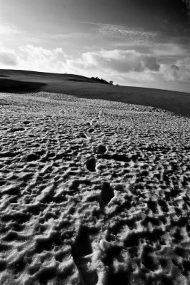 Footprints in the Snow