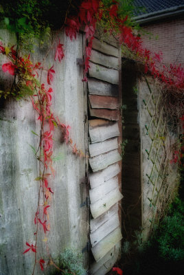 Overleaf
