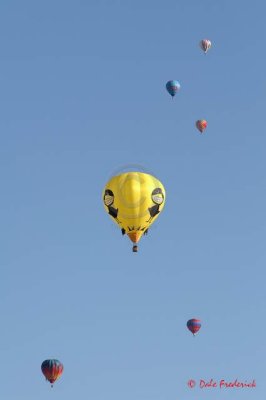 081009_084608.jpg