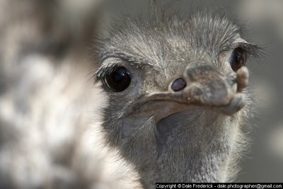 No, these eyelashes are NOT fake.