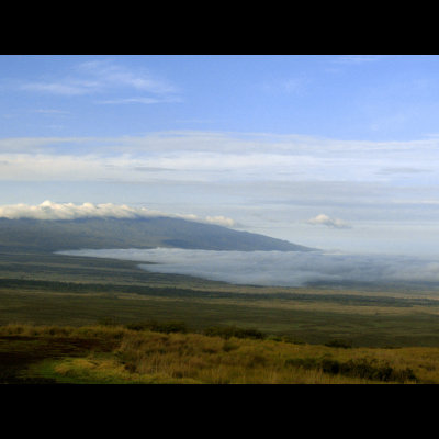 looking at Mauna Loa