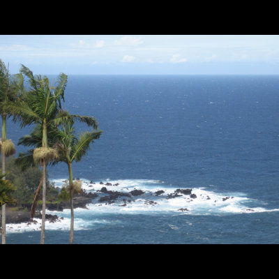 from Hakalau lookout