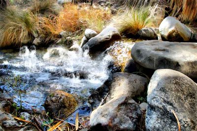 Desert Water.