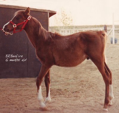 g1/72/197472/3/93759132.o8pldbeM.jpg