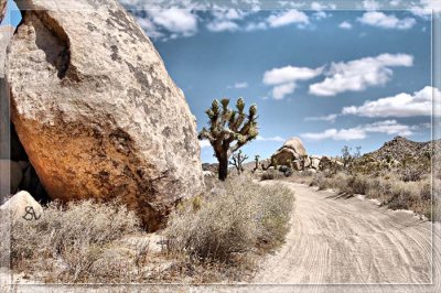 Desert Trail.