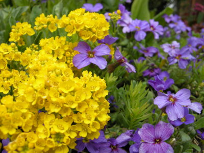 DSCN2566.JPG