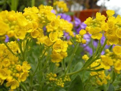 DSCN2568.JPG