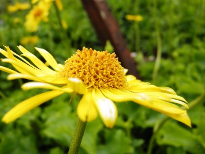 DSCN2584.JPG