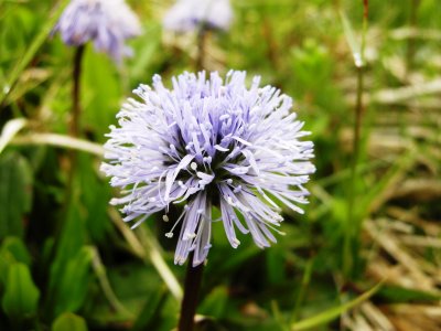 DSCN2590.JPG