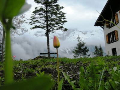 DSCN2594.JPG