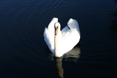 IMG_7557.JPG