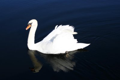 IMG_7559.JPG
