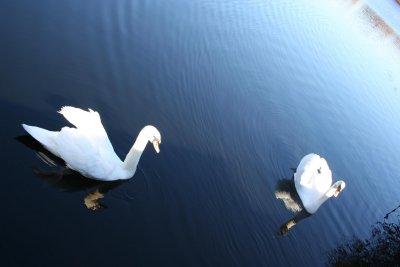 IMG_7560.JPG