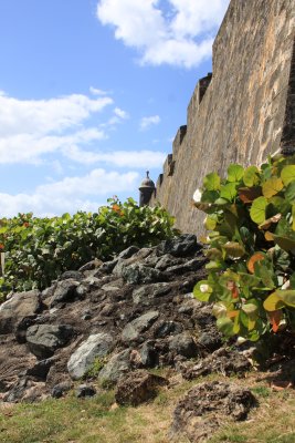 City Wall