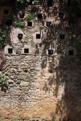 Pigeon  Park