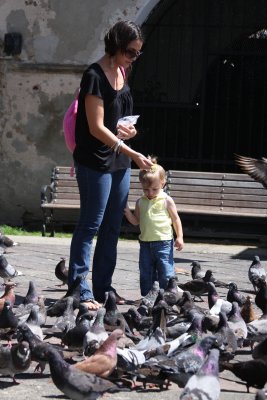 Pigeon  Park