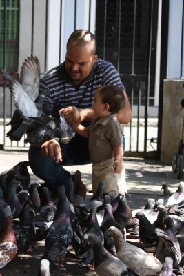 Pigeon  Park