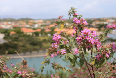 Testing 40D