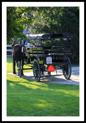 Amish Farmland / Longwood Gardens Aug 2009
