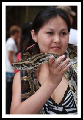 One brave lady - paid $10 to hold the snake