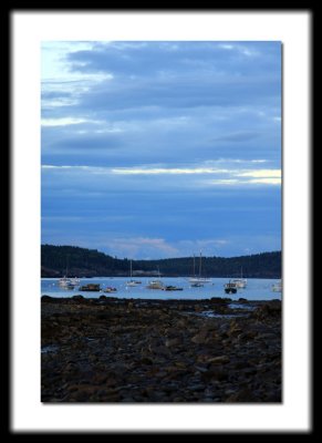 IMG_9383.JPG
