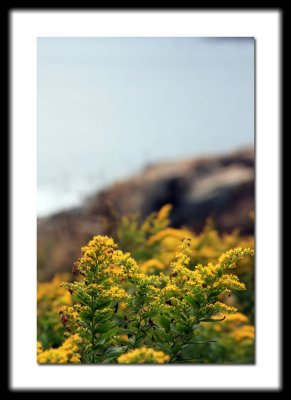 IMG_9705.JPG