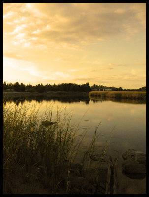 West Meadow Beach Summer 2010