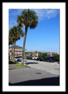 IMG_0013.JPG