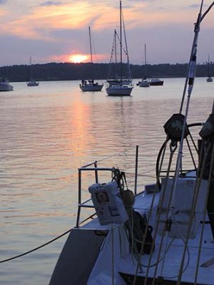IMG_1815.jpg