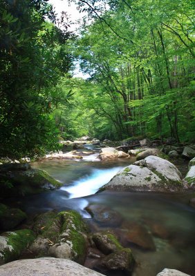 Big Creek, looking downstream from Mouse Creek Falls