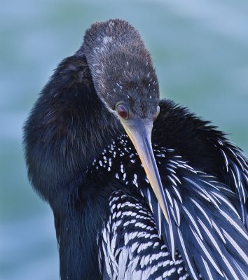20101206-6855.jpg