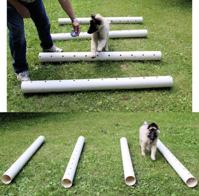 caveletti poles