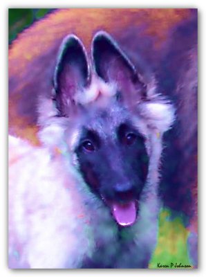 Ears To Ya