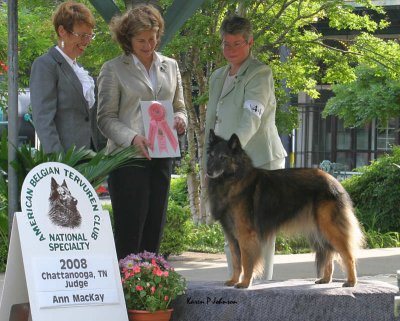 1st 10-12 yr female Ch Epris Litespeed For Two MX MXJ OAP OJP