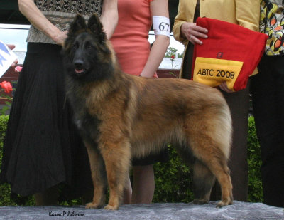 1st 6-9 months Tacara's Basira Belina