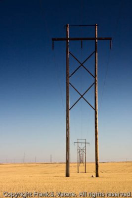 Power Lines across the prairie