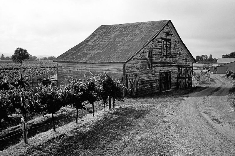 pbase barn on June 2009 08180035.jpg