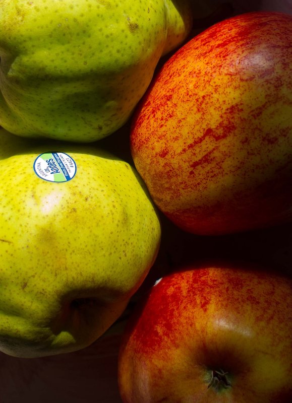 pbase fruit  July 20 2010  1 of 1.jpg