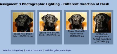 SCREEN SHOT of Moki with 4 different Flash directions.jpg