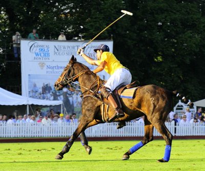 Pictures from Newport Polo