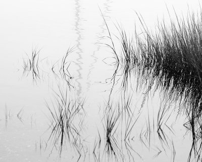 BW S and P At the edge of the Naragansett Bay October 4 2009 _DSC7688.jpg
